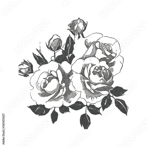 Wallpaper Mural Hand-Drawn Botanical Branches and Leaves Illustration Torontodigital.ca