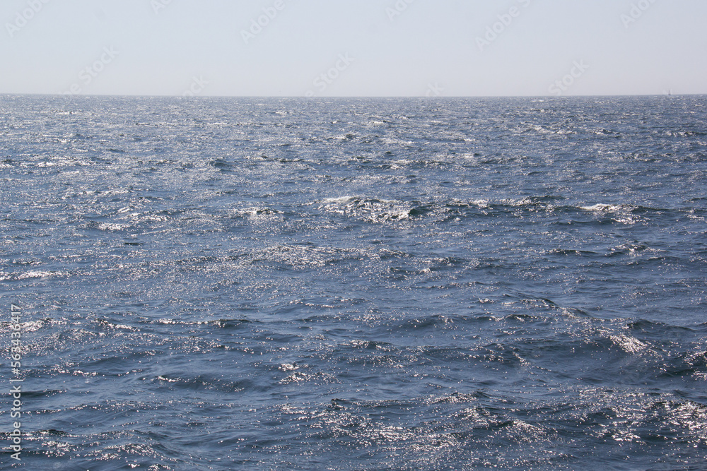 Waves on the bue ocean