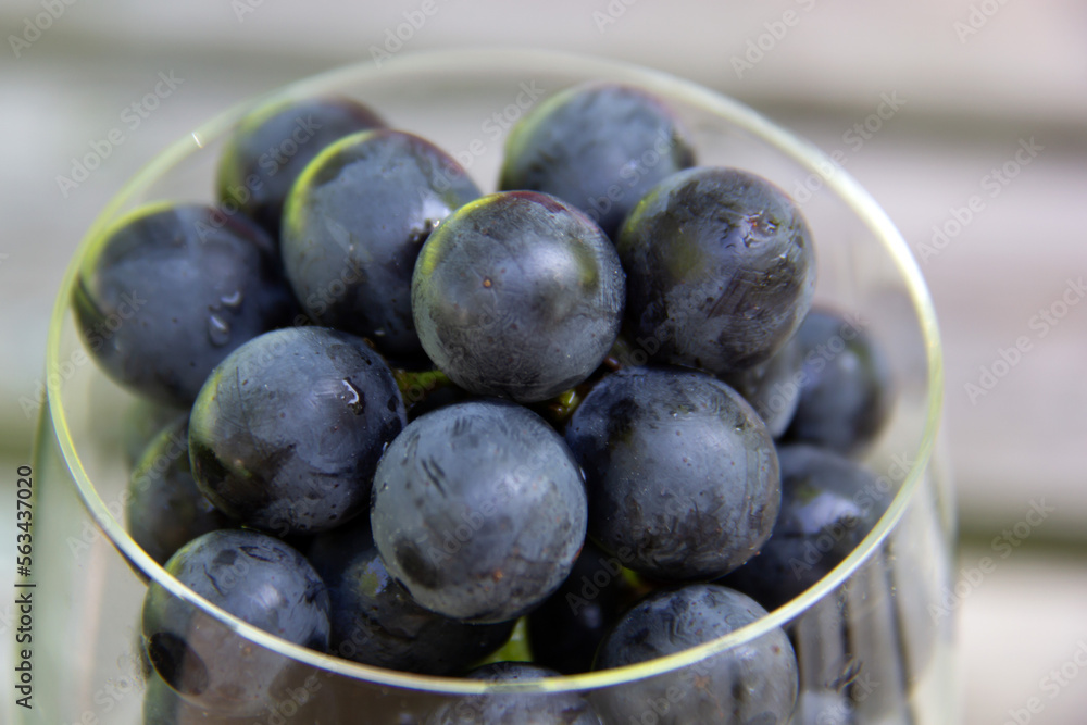Fototapeta premium Close view of a wine glass filled with blue grapes
