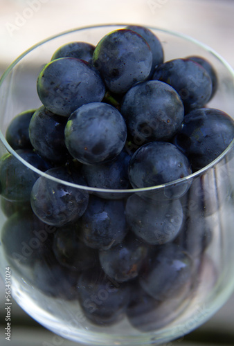 Close view of a wine glass filled with blue grapes