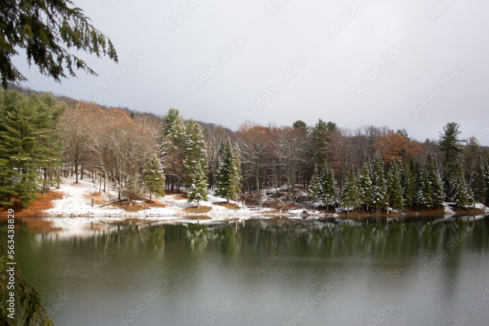 Winter forrest and mountains with a lake