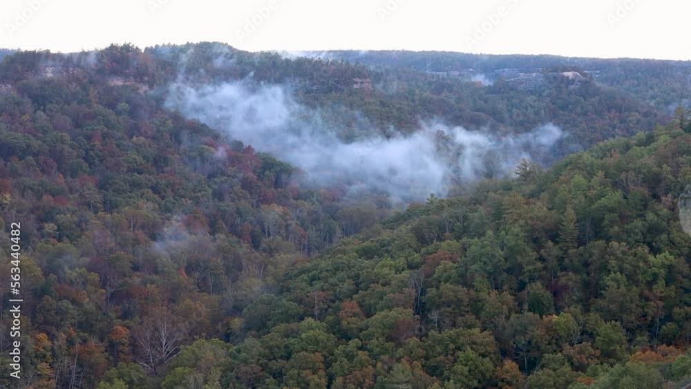 Fog at Red River Gorge Fog at Red River Gorge