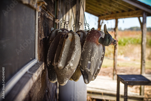 Duck Decoys at the Hunting Camp photo