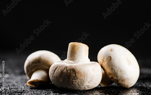 Fresh mushrooms champignons on the table. 