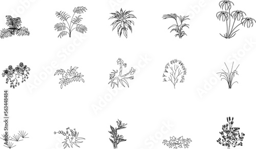 sketch vector illustration of silhouettes of garden flower plants front view
