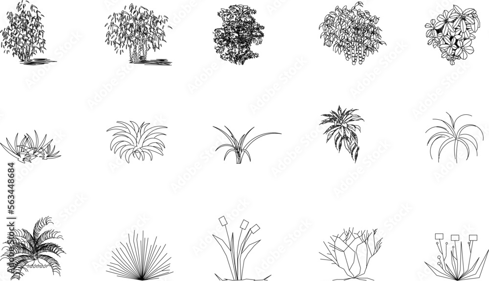 sketch vector illustration of silhouettes of garden flower plants front view
