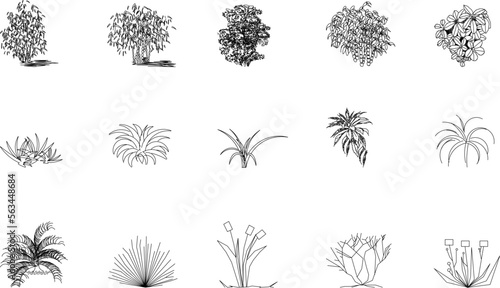 sketch vector illustration of silhouettes of garden flower plants front view