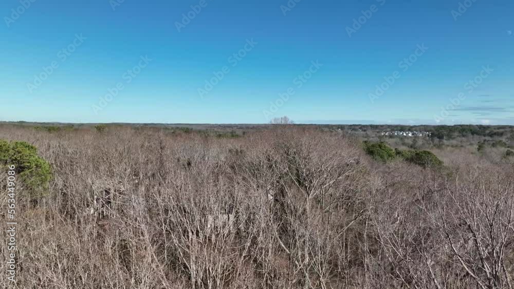 Low aerial shot moving laterally dangerously close above trees.