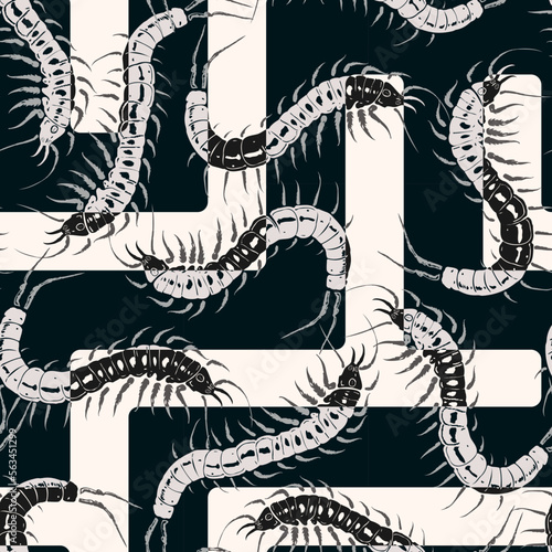 Monochrome scolopendra seamless pattern with geometric lines