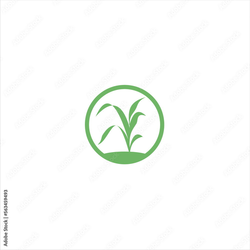 Agriculture logo design, agronomy, wheat farm, rural country farming field, natural harvest vector. Agriculture logo design, agronomy, wheat farm, rural country farming field, natural harvest vector.