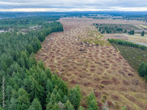 Mima Mounds Aerial