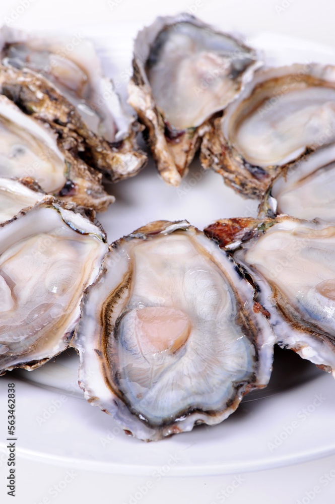 Fresh opened oyster on white background Fresh opened oyster on white background