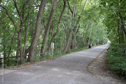 path in the woods