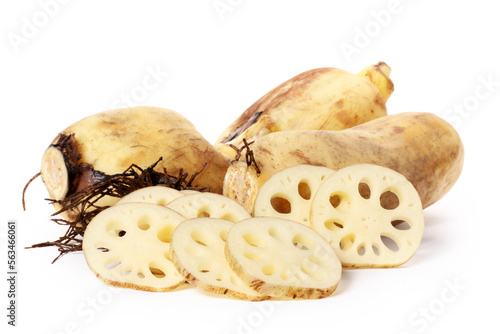 Lotus root on the white background