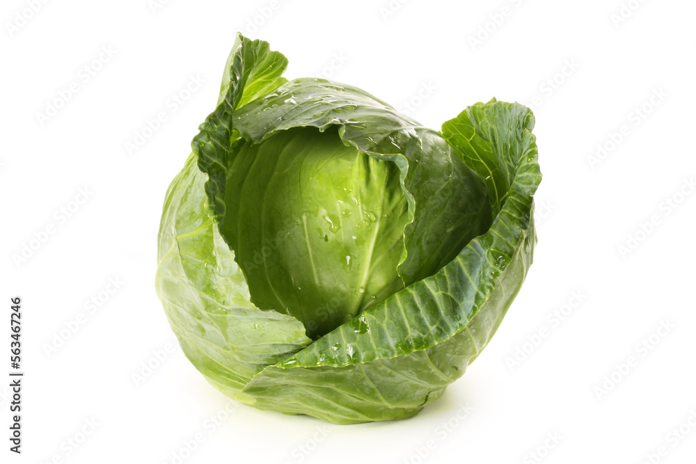 Obraz premium cabbage isolated on white background
