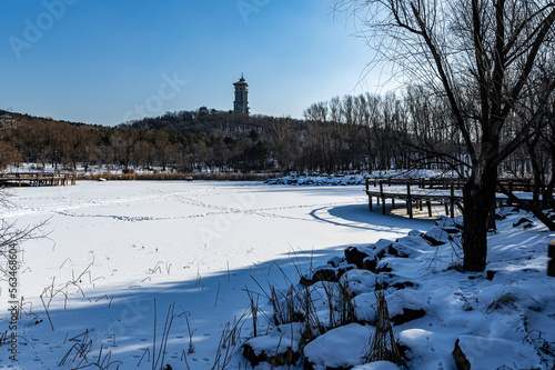 Winter scenery in Jingyuetan National Forest Park, Changchun, China photo