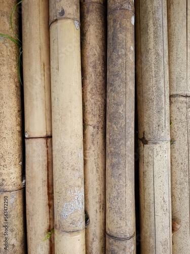 bamboo wood that has been cut and will be traded