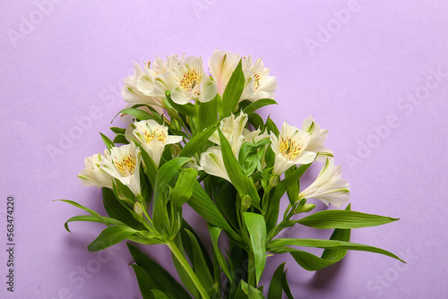 Bouquet of beautiful alstroemeria flowers on lilac background
