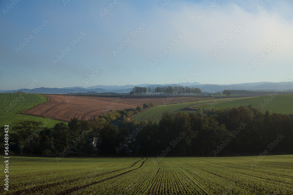Panoramic view of distant autumn hills