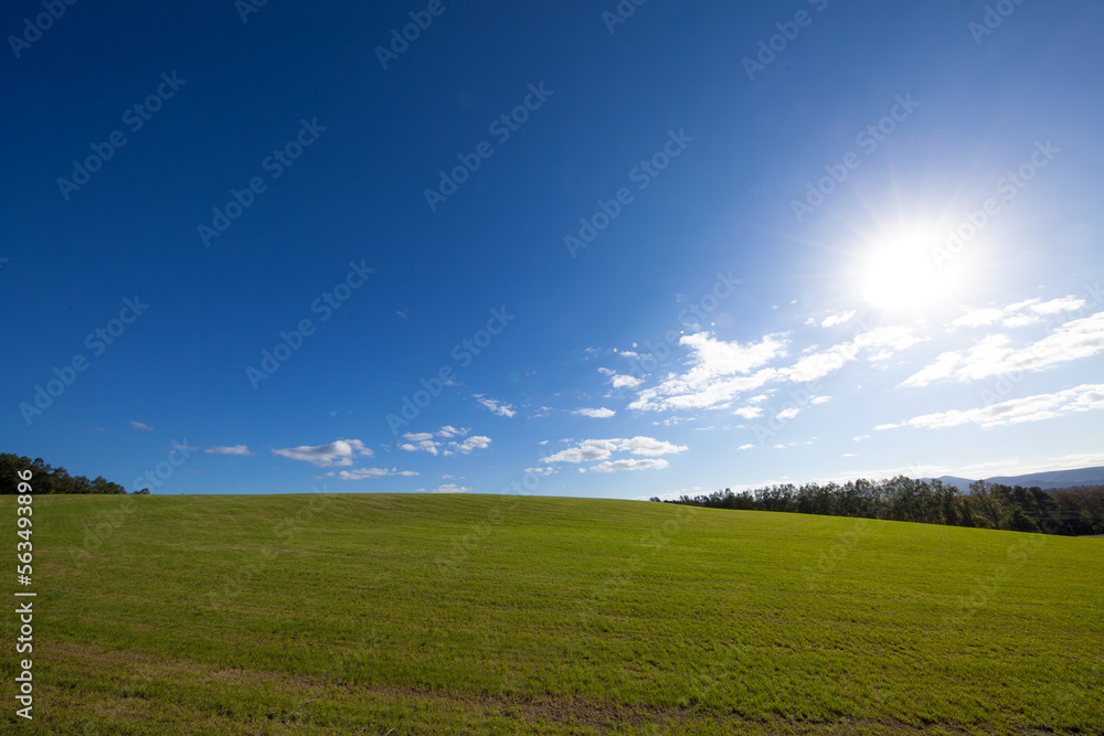 Fototapeta premium Meadow on the hills shining in the sun