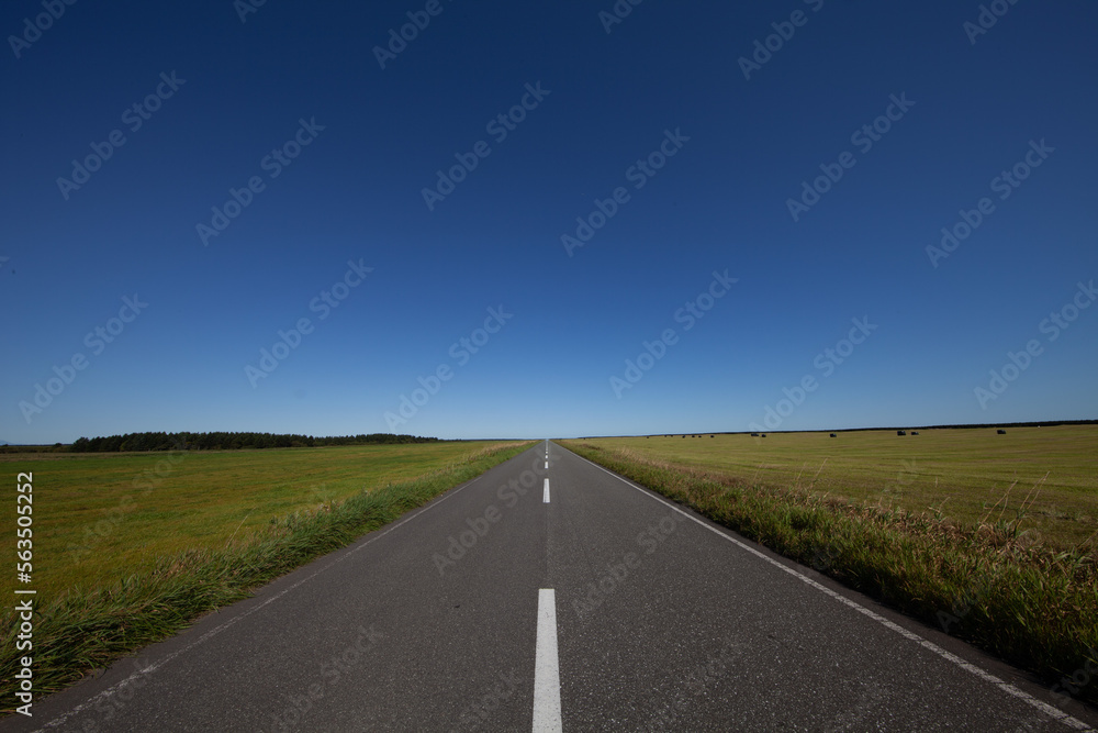 Straight road leading to the horizon