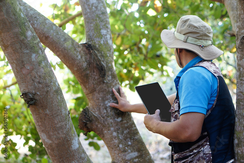 Asian man botanist is in forest, hold smart tablet to survey and collect information of botanical plants by using smart tablet. Concept , adventure, field research about environment. 