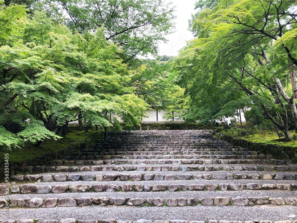 [Japan] Green Maple tree lined approach in Nison-in Temple called 