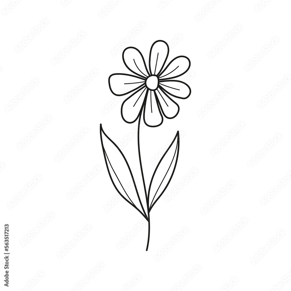 Hand drawn illustration of flowers Hand drawn illustration of flowers