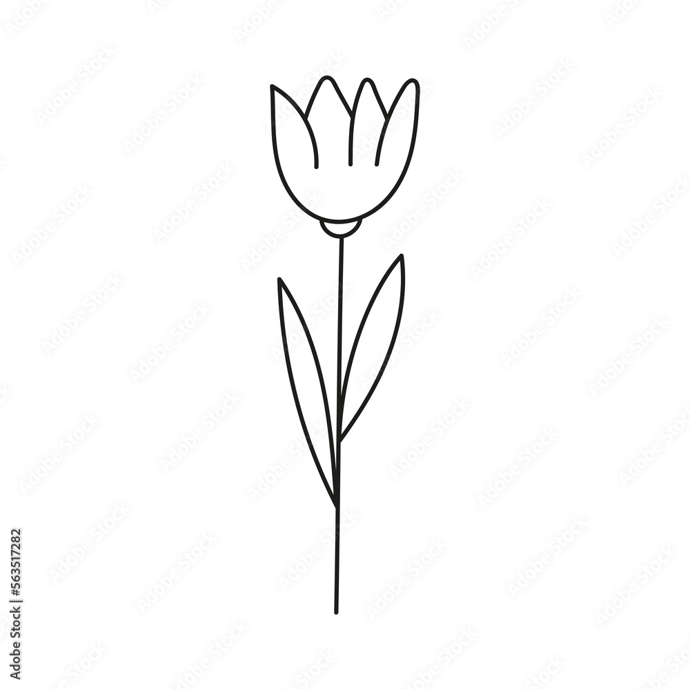 Hand drawn illustration of flowers Hand drawn illustration of flowers