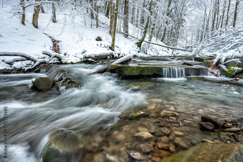 Forest mountain stream in winter. 