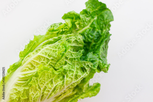 fresh green chinese cabbage leaves on white background