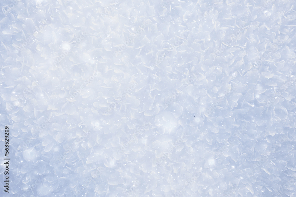 abstract winter background hoarfrost frost ice snow seasonal abstract winter background hoarfrost frost ice snow seasonal