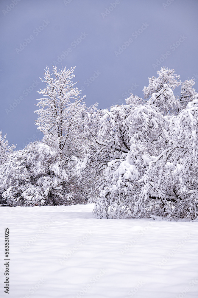 Snowy mountain forest in the Bieszczady, Carpathians. One of the most popular travel destination in Poland. Snowy mountain forest in the Bieszczady, Carpathians. One of the most popular travel destination in Poland.
