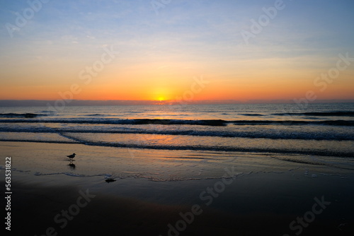 Fototapeta Naklejka Na Ścianę i Meble -  sunset west coast