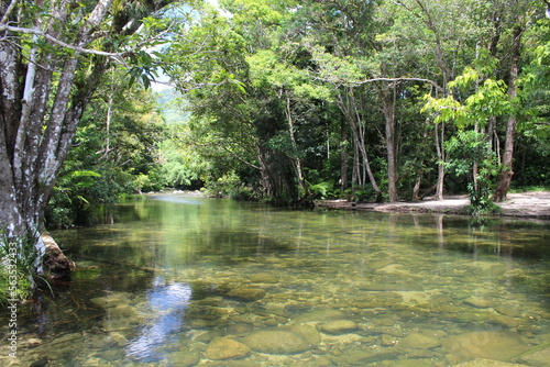 Fototapeta Naklejka Na Ścianę i Meble -  rainforest river