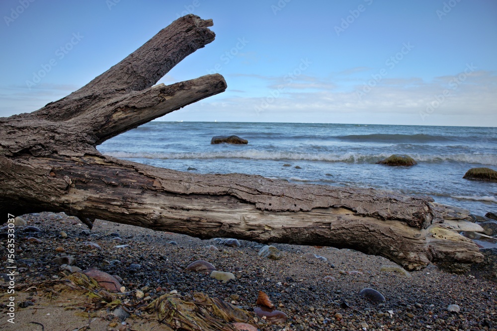 Ostsee - Meer - Warnemünde - Rostock - Seascape - Beach - Sunset - Baltic Sea Vacation Coast - Tourism - Holiday - Background - High quality photo
Ostsee - Meer - Warnemünde - Rostock - Seascape - Beach - Sunset - Baltic Sea Vacation Coast - Tourism - Holiday - Background - High quality photo
