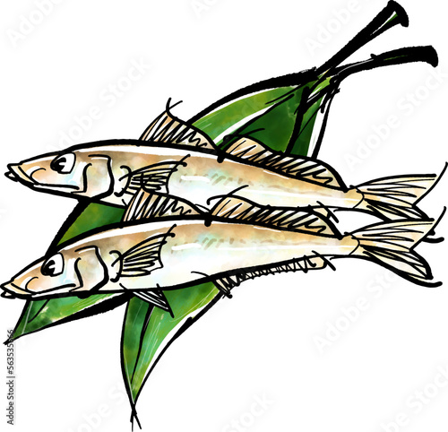 ハランに乗った「鱚（きす）」の手書きイラスト（筆書き墨絵風）