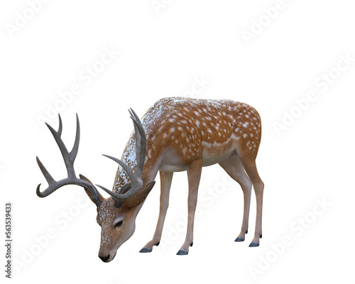 3d render  deer faun winter creature