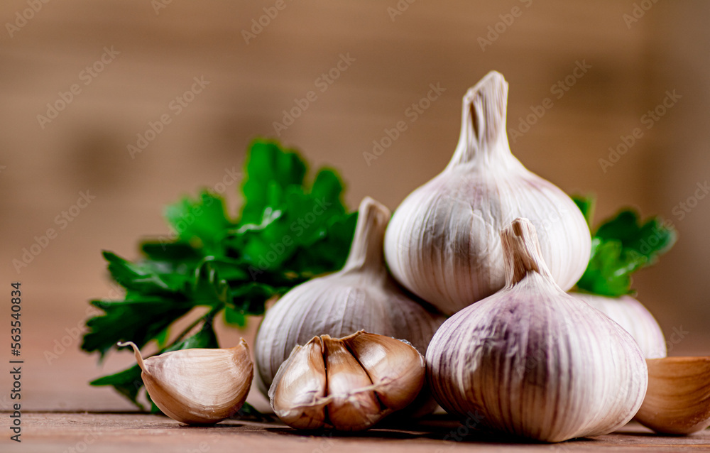 Cloves of fresh garlic with parsley. Cloves of fresh garlic with parsley.