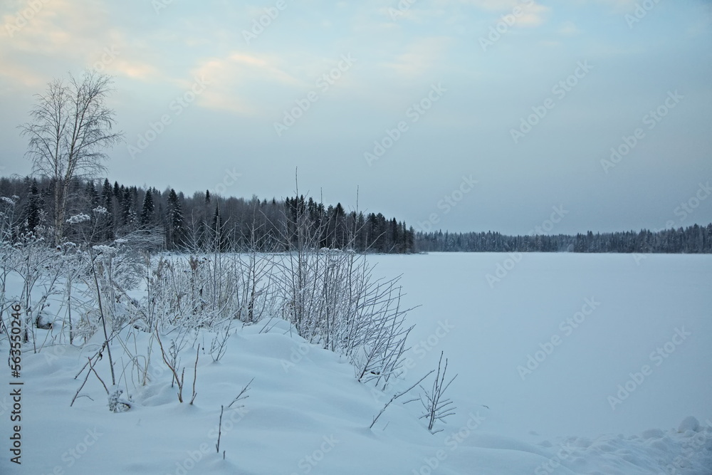 Winter forest in the Russian North. Winter forest in the Russian North.