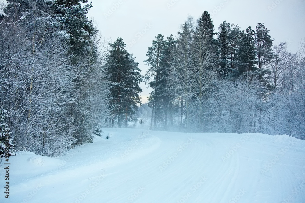 Fototapeta premium Winter road in the Russian North.
