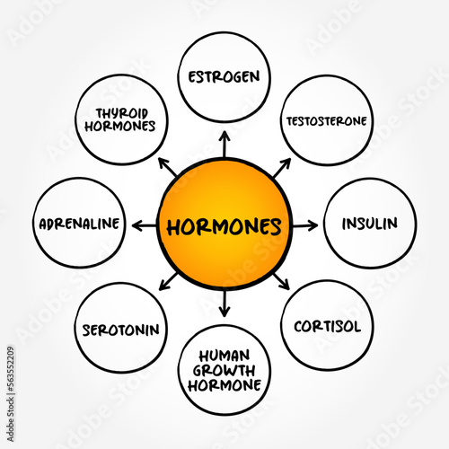 Hormones - your body's chemical messengers, mind map concept background