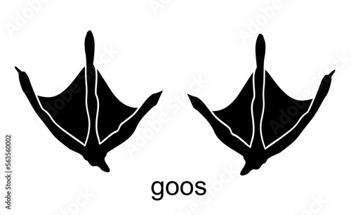 Goose footprint illustration, drawing, engraving, ink, line art, vector Big flat mallard paw print set on white sand earth. Dark black line ink vet logo emblem. Toe way top view
