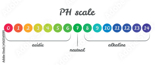pH value scale chart for acid-alkaline solution. Acid-base balance infographic isolated on white background. Indicator for concentration of hydrogen ion in solution. Vector illustration.