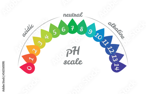 pH value scale chart for acid-alkaline solution. Acid-base balance infographic isolated on white background. Indicator for concentration of hydrogen ion in solution. Vector illustration.