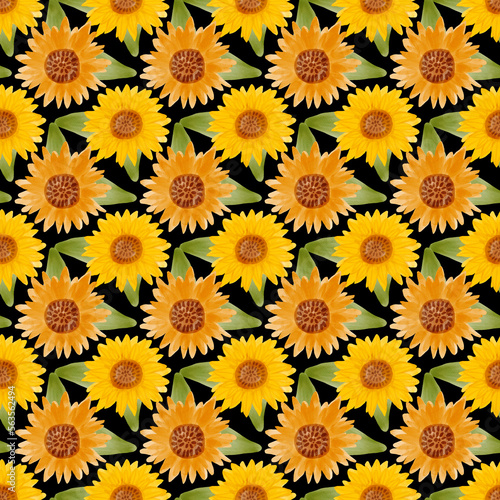 Sunflower watercolor seamless pattern. Yellow flowers garden farmhouse background. Summer flowers, autumn harvest flower with floral elements hand drawn watercolor illustration on black background