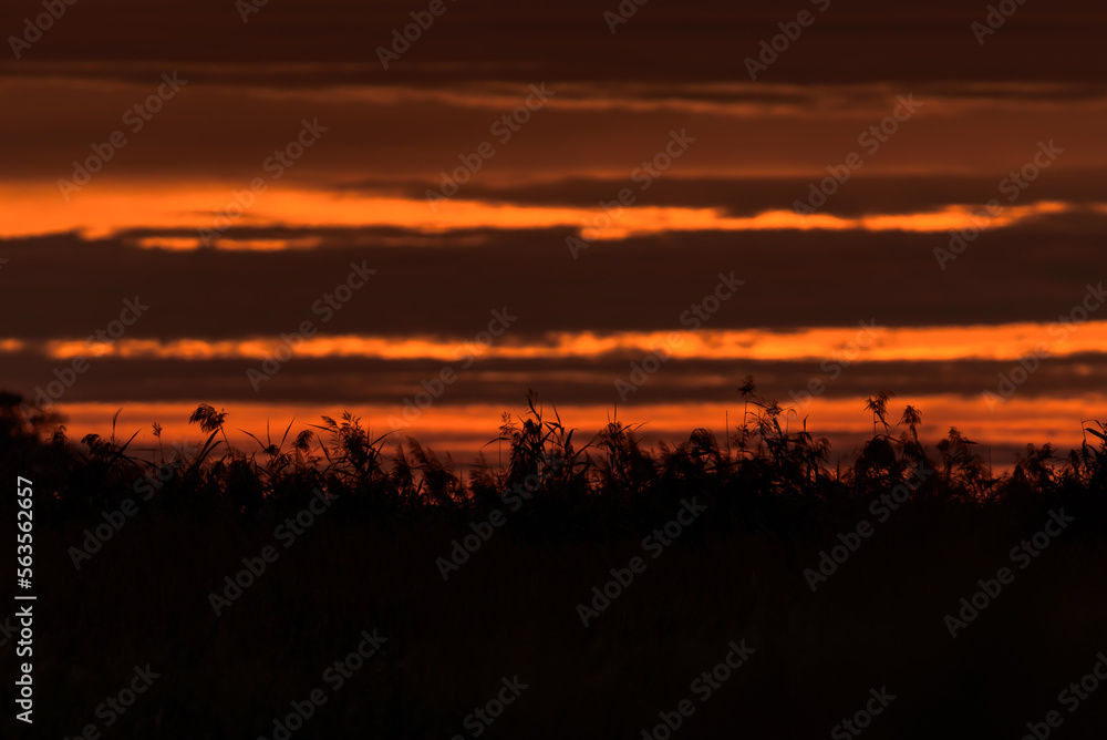 SUNRISE - Sunny morning on wetlands