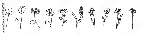 Flowers set in outline doodle flat style. Vector illustration set on white background.