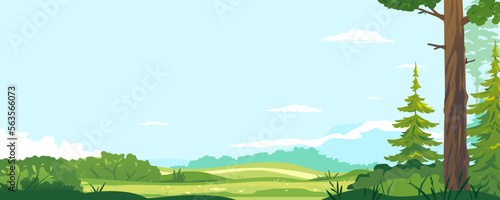 Green lawn with bushes in sunny day near spruce forest, Europe nature landscape background, hiking travel concept illustration background