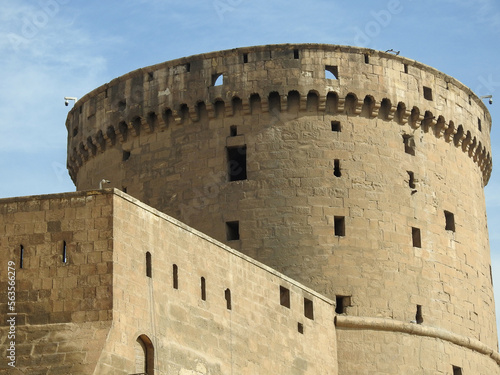 The Citadel of Cairo or Citadel of Saladin, a medieval Islamic-era fortification in Cairo, Egypt, built by Salah ad-Din (Saladin) and further developed by subsequent Egyptian rulers, selective focus photo